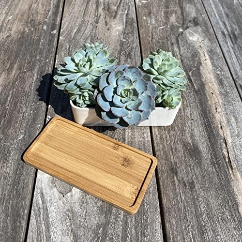 Selections Ceramic Modern Planter, White Succulent Plant Pot, Garden Planters, Set of 2, Indoor and Outdoor Use, 9cm x 17cm x 7cm - Image 6