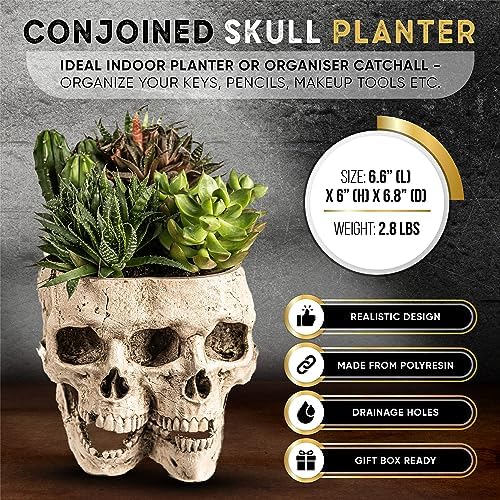 Kobi & Knight Skull Planter Pot for Indoor Plants - Skull Flower Pot in Gift Box - Gothic Planter Pot for Succulents, Brain Cactus Plants - Double Skull Planters for Halloween, Goth Home Decor - Image 2