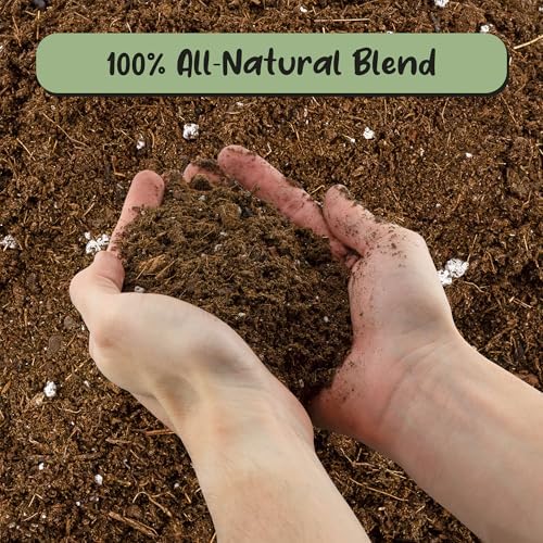 Soil Sunrise Monstera Houseplant Potting Soil Mix (12 Quarts) Custom Blend for Growing and Repotting - Image 3