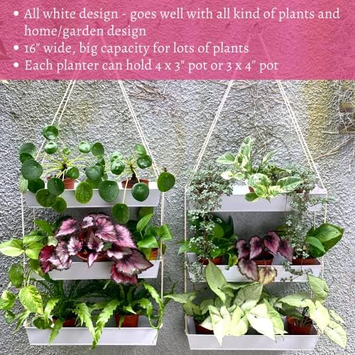 LaLaGreen Boho Wall Planter (16 in, 3 Tier) White Succulent Herb Garden - Image 5