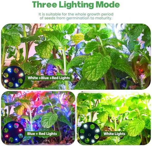 Seed Starter Trays with Grow Lights, 72 Cells Seed Starter Kit with Lights, 4 Timing Set, Germination Kit for Seed Starting Trays, Seedling Starter with High Humidity Control Domes (White, 6PCS) - Image 2
