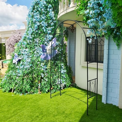 Iron Pergola Garden Arch 7Ft H x 4.1Ft W for Rose & Climbing Vines - Image 2