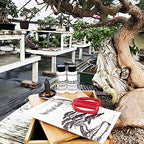 Starter Bonsai Tool Kit - Survival Guide + Set Includes: Butterfly Pruning Shears, Bottle Uncle Bill's Fertilizer, 2 Ounce Frit, Aluminum Wire, Genuine Chinese Mud Figurine - Bamboo Case - Image 3