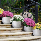 Zubebe 16 Pcs Resin Wall Hanging Planters White Hanging Flower Pots with Drainage Hole Fence Planters for Indoor Outdoor Plant Balcony Railing Decor(8.07 x 6.69 x 4.92'') - Image 3