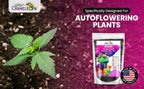Organic Autoflower Potting Soil Mix – Ready-to-Use Living Soil, No Fertilizers Needed – Balanced Nutrients, Light Texture, Excellent Drainage, Boosts Germination & Root Growth (5 quarts) - Image 2