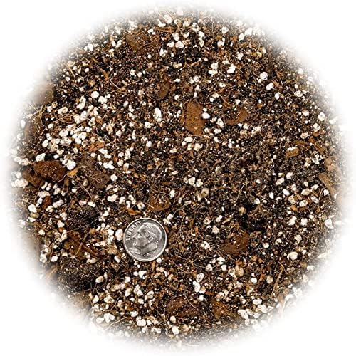 GARDENERA Premium Spider Plant Potting Soil Mix (4 Bags of 5 Quart) - Image 4