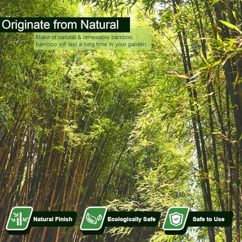 Jollybower 1/2" D 4.75 Feet Bamboo Stakes 50 Pack, Thicker Heavy-Duty Plant Stakes, Natural Garden Stakes for Bean, Tomato, Bean, Flowers,Trees Potted and Climbing Plant Support - Image 2