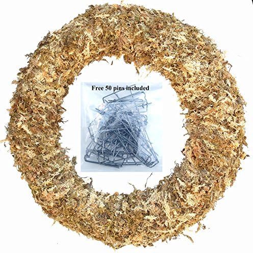 19" Living Wreath Sphagnum Moss Form Complete by Topiary+Art+Works