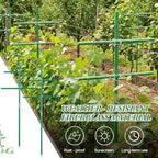 2 Set 7 ft Fiberglass Garden Stakes Kit for Climbing Plants - Image 6