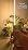 360° Grow Lights for Indoor Plants with Stand, Up to 67'' Adjustable Height - Image 7