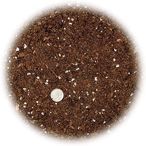 GARDENERA Citrus Tree Potting Soil Mix, Special Blend for Indoor Oranges, Lemons, Limes and More - (4 Quart Bag) - Image 5