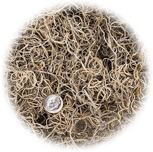 Premium Natural Spanish Moss | Natural Preserved - 20 Quart - Great Ground Cover - Filler for Potted Plants (4 Bags of 5 Quart) - Image 5