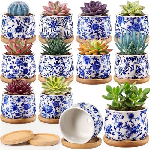 12 Pcs 3" Ceramic Chinoiserie Succulent Plant Pot Blue and White Porcelain Planter with Bamboo Tray Drainage Hole Mini Chinese Flower Jardiniere for Cactus Herbs Home Office Indoor Decor by Ferrochef