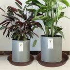 4 Pack of 16 inch Plant Saucer, Heavy Duty Round Plant Trays for Pots, Bird Bath Bowls, Plastic Plant Water Tray, Flower Plant Saucers for Indoors (16", Chocolate) - Image 3