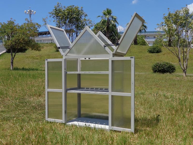 Cold Frame Greenhouse, Small Wood Greenhouses, Mini Polycarbonate Green House with Adjustable Roof, 2 Adjustable and Removable Shelves for Outdoors, Indoors Plant, Flower, Vegetable - Image 4