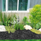 GASPRO 30 Pound River Rocks, Decorative Stones for Walkways, Outdoor Landscaping, Garden, Yard, 1 to 2 Inch, Black Polished Pebbles for Planters, Flower Beds, Vase - Image 5