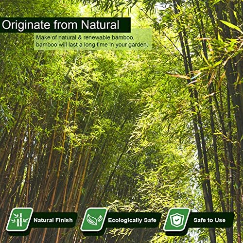 Jollybower 20pcs 5/8" D Thicker Heavy Duty Bamboo Stakes, 6FT Plant Stakes, Natural Garden Stakes for Tomato, Bean, Flowers,Trees Potted and Climbing Plant Support - Image 2