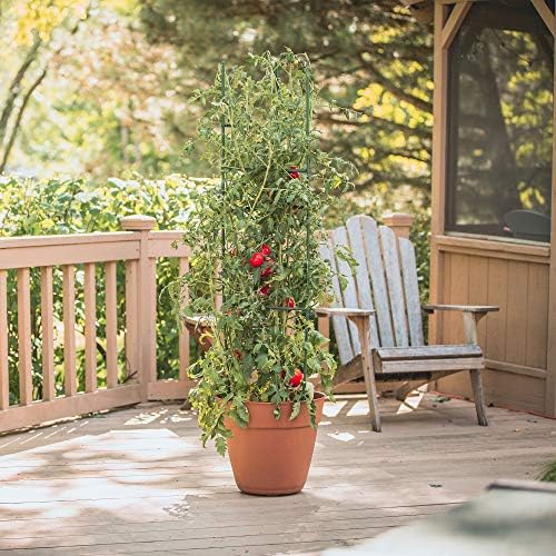 Gardener's Blue Ribbon 3-Pack Ultomato Tomato Plant Cage, Black, Model Number: TMC3PACK - Image 2