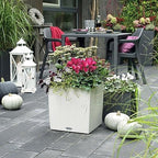 Lechuza Cube Cottage 30 Granite, Self-Watering Square Planter, H11.8 L11.8 W11.8 in - Image 6