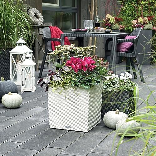 Lechuza Cube Cottage 30 Granite, Self-Watering Square Planter, H11.8 L11.8 W11.8 in - Image 6