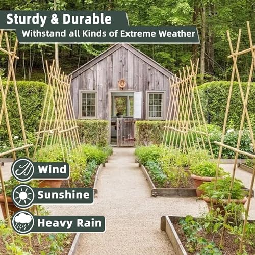 30Pcs / 7ft Bamboo Plant Stakes for Indoor Outdoor Plants, Garden Plant Support Sticks, Poles for Tomato Vegetables Beans Trees Potted Climbing Plants(0.32''-0.4'') - Image 3