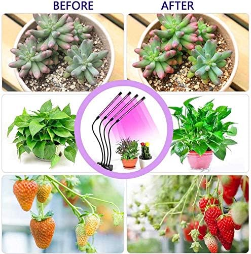 LED Grow Lights for Indoor Plants, 80W Plant Grow Lights Full Spectrum Auto ON Off with 3/9/12H Timer, 9 Dimmable Lightness Clip-On Desk Grow Lamp Bulbs (4 Heads) - Image 4