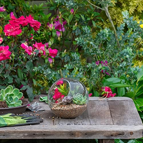 INOOMP 3 Pcs Glass Terrariums for Plants,Plant Terrarium Display Glass Tabletop Succulent Air Plant Planter Globe Microlandschaft House - Image 2