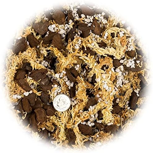 Premium Sphagnum Moss, Perlite and New Zealand Pine Bark Blend for Carnivorous Plants - 10 Quart - Perfect for Venus Fly Traps, Pitcher Plants, Sarracenia, Butterworts, and Sundews by GARDENERA - Image 3