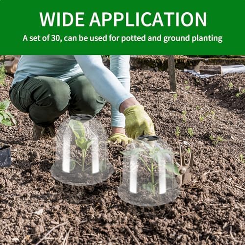 Saihisday 30Pcs Garden Cloche Dome Plastic 7.7" H Small Humidity Cloches for Plants Plant Plastic Dome Cover Mini Greenhouse Clear Garden Dome for Nursery Soil & Seedling (7.7" Dia x 6.7" H) - Image 3