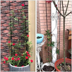 Thealyn Garden Trellis 2 Pack 72'' H x 12'' W Metal Plant Trellis - Image 6