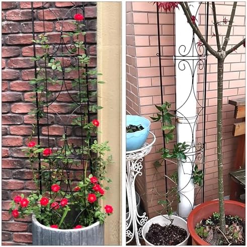 Thealyn Garden Trellis 2 Pack 72'' H x 12'' W Metal Plant Trellis - Image 6