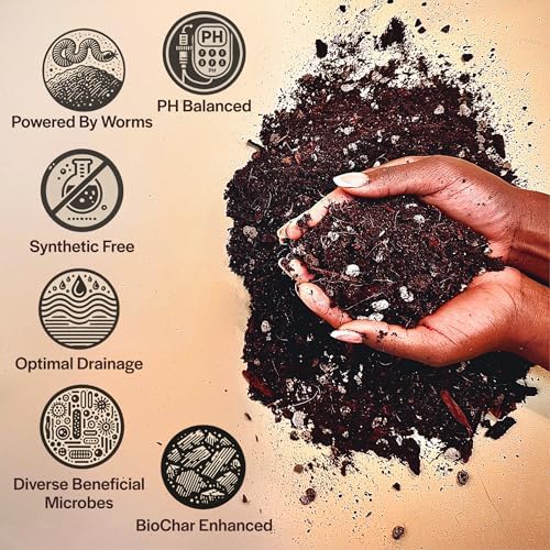 Craft Aroid Potting Mix- Elite Organic Alocasia, Philodendron, Monstera Soil Mix, Chunky, Well Draining Potting Soil for Indoor Plants, All Tropical Plants & Houseplants, Sustainable & Peat Free 8QT - Image 2