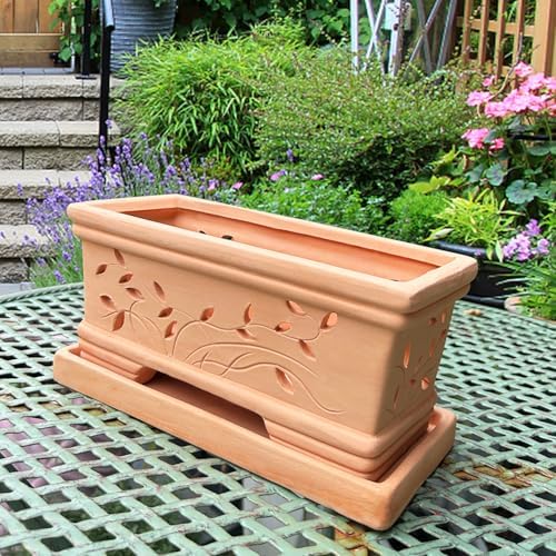 12 Inch Terra Clay Orchid Pots with Drainage Holes Saucers Large Clay Planters for Repotting Plant Pots for Terra Cotta Pot for Plants Indoor and Outdoor Promotes Air Circulation - Image 7