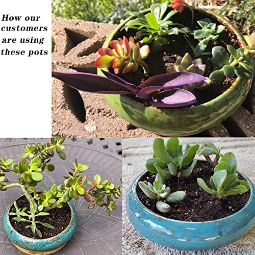 Bonsai Pots, 10 Inch Ceramic Succulent Pots with Drainage, Large Plant Pots - Image 5