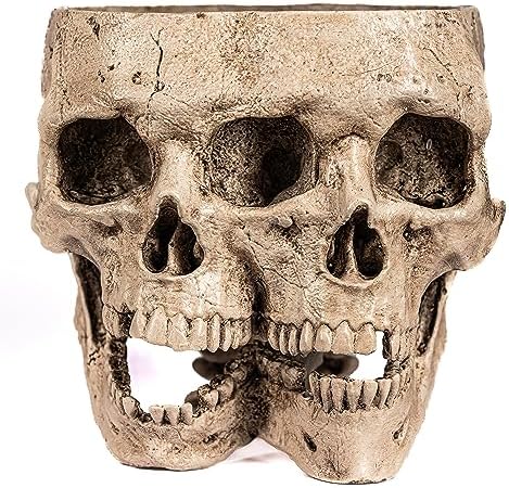Kobi & Knight Skull Planter Pot for Indoor Plants - Skull Flower Pot in Gift Box - Gothic Planter Pot for Succulents, Brain Cactus Plants - Double Skull Planters for Halloween, Goth Home Decor by Kobi+%26+Knight