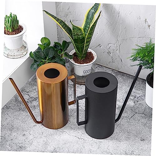 POPETPOP Large Capacity Stainless Steel Watering Can Spray Bottle for Plants Indoor - Image 2