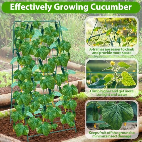 ROADPLUM Cucumber Trellis for Raised Garden Bed, Outdoor Sturdy Metal A-Frame Cucumber Trellis Support for Climbing Plants Vegetables and Fruits with Accessories, Easy installation and Easy Harvesting - Image 4
