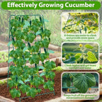 ROADPLUM Cucumber Trellis for Raised Garden Bed, Outdoor Sturdy Metal A-Frame Cucumber Trellis Support for Climbing Plants Vegetables and Fruits with Accessories, Easy installation and Easy Harvesting - Image 4