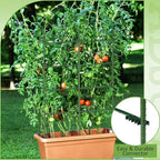200 Pcs Adjustable Plant Stake Arm for Tomato Cage 11" Stake Connector - Image 6