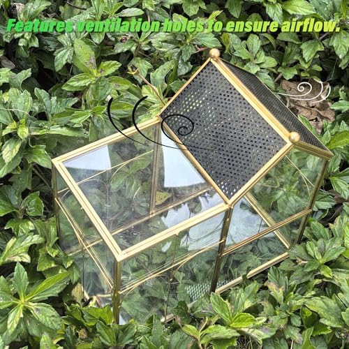 Ready-to-Use Glass Terrarium with Vents - 8.66"x4.72"x8.46" House-Shaped Jumping Spider Enclosure, Habitat for Praying Mantis, Snails, Insect or Succulent Plants - Home Garden Tabletop Decor - Image 5