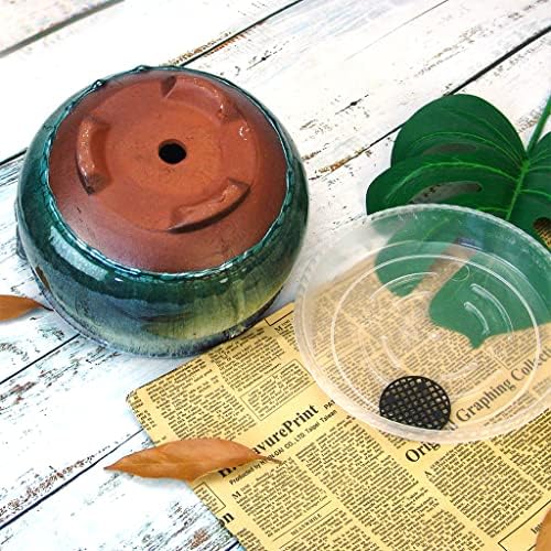 8 Inch Succulent Pot with Drainage and Saucer Glazed Terracotta Round Ceramic Succulent Planter Cactus Bonsai Plant Pot (White and Green) - Image 3