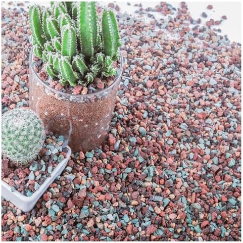 15lb Mix Horticultural Lava Rock Pebbles Pumice Potting Soil Amendment Succulent Cactus Bonsai Gritty Rock Decorative Gravel Plant Drainage Volcanic Rock for Aquarium Fairy Gardening Top Dressing by Avalution
