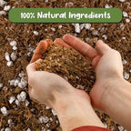 Soil Sunrise Carnivorous Plant Potting Soil Mix (12 Quarts) Custom Blend for Venus Fly Traps, Sundews, and Pitcher Plants - Image 3