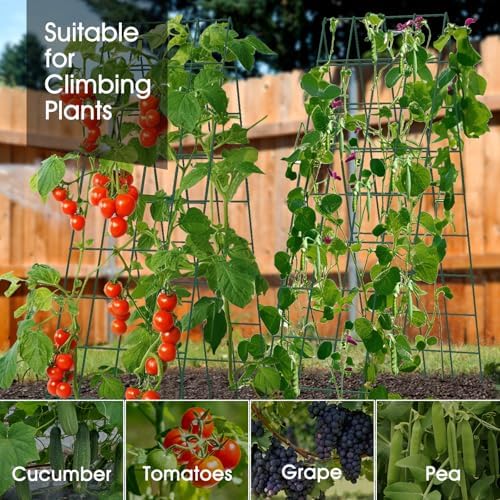 RIFNY Cucumber Trellis for Raised Bed, Garden Trellis 16.5 x 60 Inch, Green - Image 7