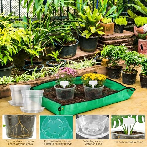 12PCS 5.75/7/8/10 in Clear Nursery Pots with Drainage Plant Pots - Image 6