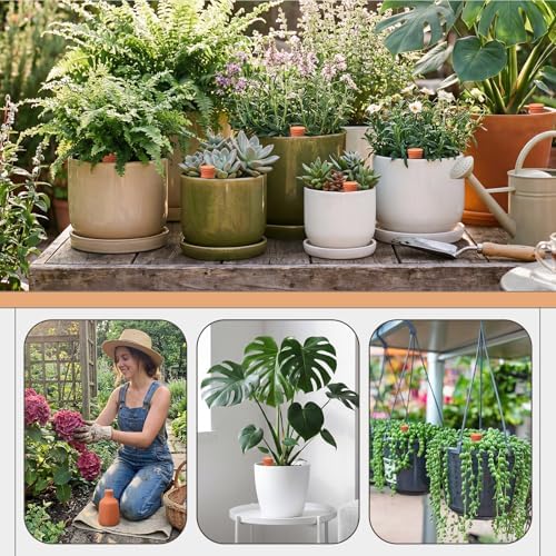 DoubleFill Ollas Terracotta Watering Pots, 50 oz, 2 Pcs - Image 6