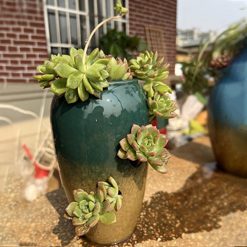 1 PCS Mini Retro Ceramic Succulent Plant Pots Vase Cactus Plant Pots Flower Pots Container Planter with Hole - Breathable Multi-Hole Porous A17 - Image 3