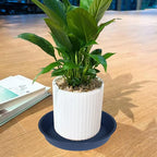 4 Pack of 18 19 inch Plant Saucer Drip Tray (16.6 inch Base), Heavy Duty Deep Plant Saucers for Pots, Plastic Flower Planter Water Trays for Indoors Outdoor (19", Blue) - Image 6
