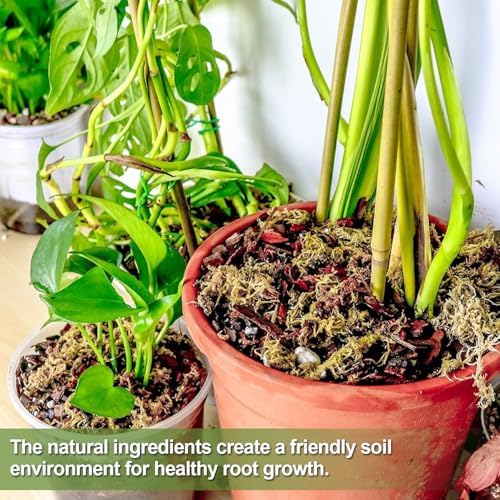 Orchid Bark Potting Mix 29 Quart, Mix Pine Bark,Perlite, Sphagnum Moss and Clay Pebbles for Plants, Orchid Garden Soil for Potting,Repotting - Image 6