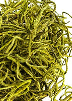 SuperMoss (27012) Spanish Moss Preserved, Chartreuse, 3lbs - Image 3